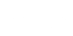 The Discipline App logo